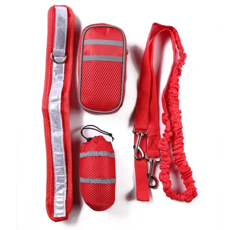 Dog's Reflective Detail Training Kit