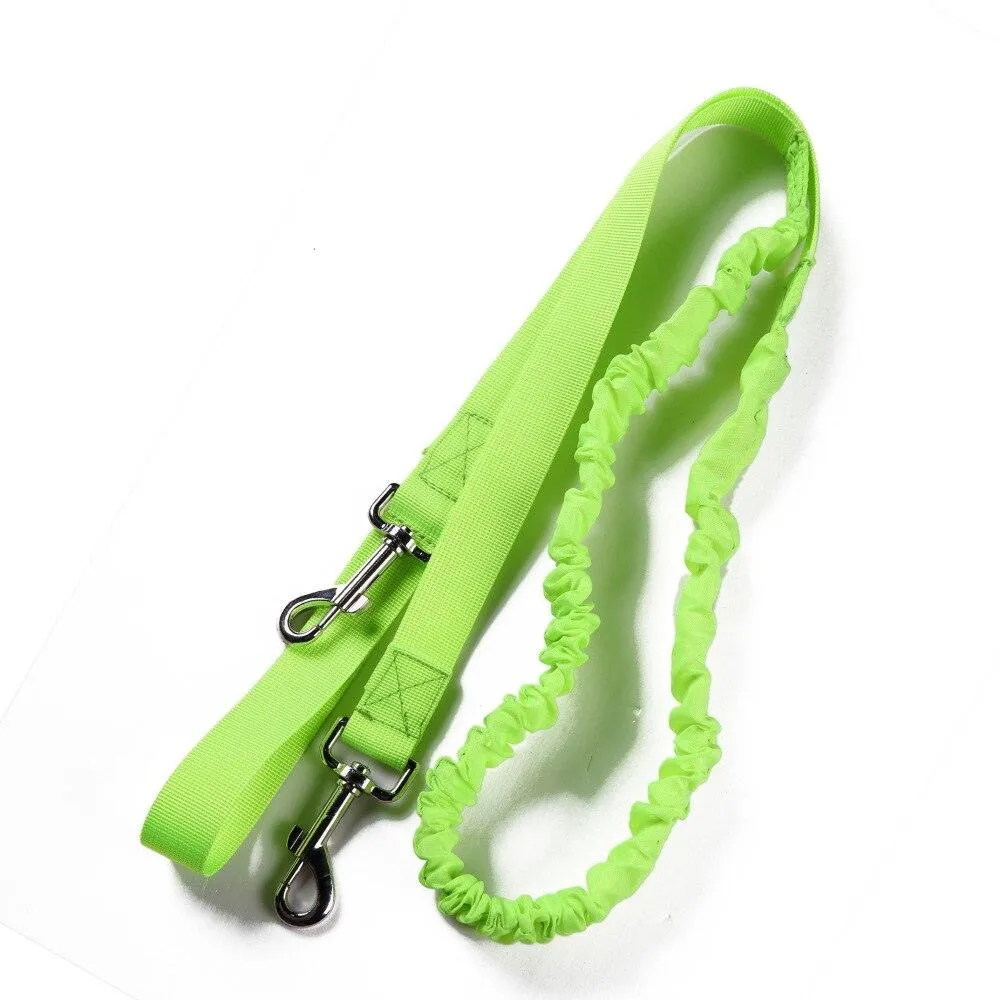 Dog's Reflective Detail Training Kit