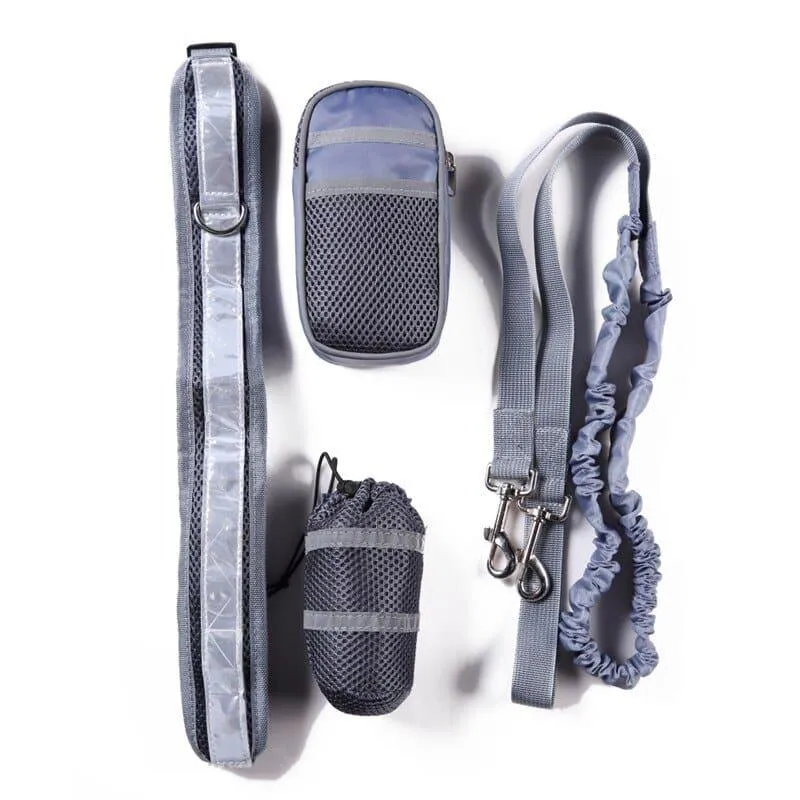 Dog's Reflective Detail Training Kit